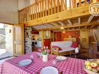 Gîte spacieux avec jardin, terrasse, et parc proche du château - 6 pers., animaux acceptés - FR-1-496-102 - Fontanès - 6