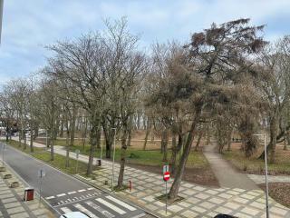 Al-Dom Apartamenty Obrońców Westerplatte , 100 m do plaży, przy latarni morskiej - 9