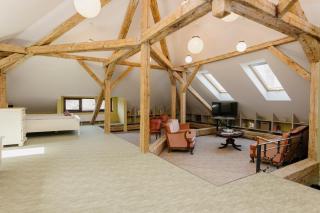 Attic Studio Timisoara - 8