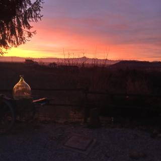 Agriturismo Bric di Gai - Monforte dʼAlba - 3