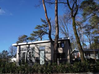 Tiny house near the Veluwe - Hoenderloo - 9