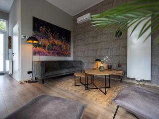 Chalet with fireplace in Veluwe - Hoenderloo - 7