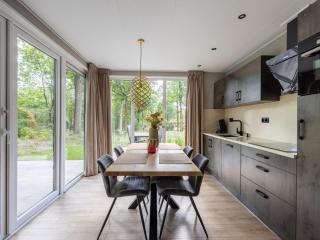 Chalet with fireplace in Veluwe - Hoenderloo - 6