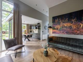 Chalet with fireplace in Veluwe - Hoenderloo - 9