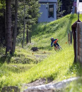 WeiXL Schi&Bike Appartements-Bike in&Bike out neben Wexl Trails Bikepark - Sankt Corona am Wechsel - 8