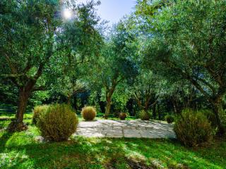 Chateau d'encassagnard - Castin - 1