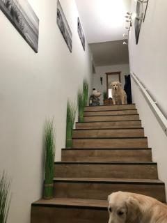 5 1/2 Zimmer Penthouse Luv und Lee - Wangerland - 2
