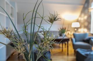 Ferienwohnung Schwennautal - Glücksburg - 3