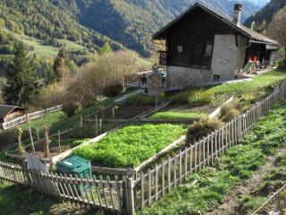 Mayen de Planraveire - Orsières - 6