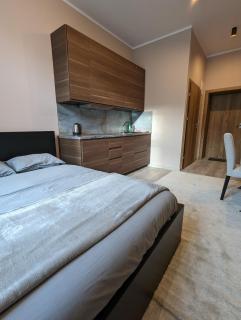 Apartment A1 in Downtown of Krakow - 0