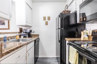 North Dallas Updated One Bedroom Apartment - Dallas - 2