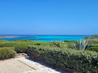Villa Chiccolina - Stintino - 3