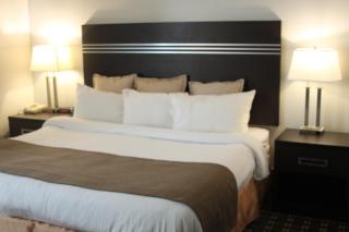 Super 8 by Wyndham Valemount - Valemount - 9