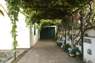 WelcomeBuddy - Mosteiros Vineyards (Praia&Sunset) - Mosteiros - 9