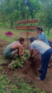 Joben Evergreen Camp - Tetebatu - 5