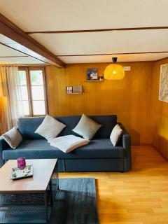 Lovely & great equipped wooden Alp Chalet flat - Kandersteg - 4