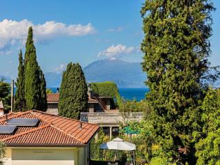 Nido sul Lago Apartment - Vista Lago e con Piscina - Desenzano del Garda - 0