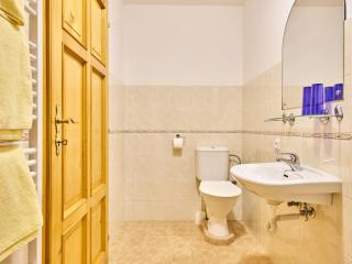Apartment Villa Belvedere-1 by Interhome - Janské Lázně - 1