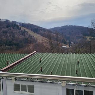 Apartamenty Ustroń Wczasowa 90 - Ustroń - 8