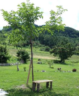 B&B EcoAntico casa in paglia - Maiolo - 4
