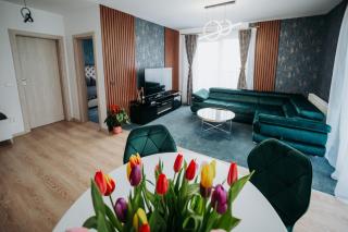 Luxury Penthouse Belvedere - Sibiu - 5