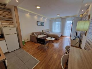Apartman Ares - Novi Beograd - 8