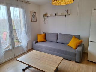Cottage avec terrasse privative à 15 km d'Orléans - Ardon - 2