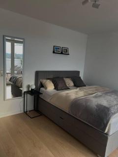 Penthouse Apartment in Kehl - Kehl am Rhein - 9
