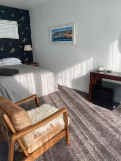 Guest Suite St Clair Beach - Dunedin - 1
