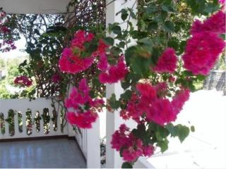 Comfortable Apartment in Pereybere, 50 sqm, Fenced Garden - Pereybere - 3
