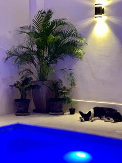 Hotel Casa Prisca - Coyuca - 4