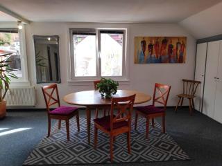 Große 130 m2 gemütliche Wohnung im Herzen Tribergs - Triberg im Schwarzwald - 8