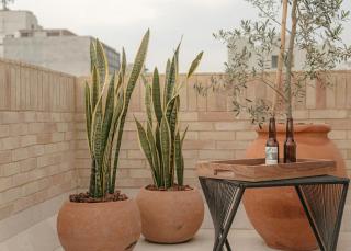 GUANAJUATO By Mr W - 5