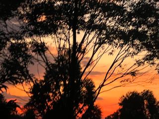 Nyore Hillside Retreat - Mbarara - 6