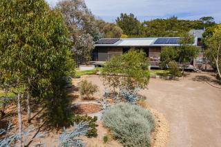 Lady Abigail in Flinders - 0