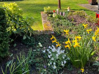 Cranny Hill - Walpole - 3