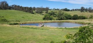 Willowbank Farm - Exeter - 8