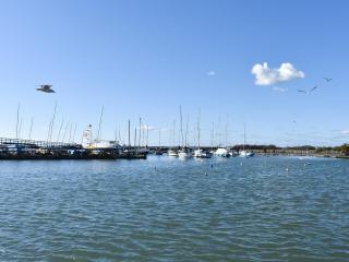 Oakmere - Fareham - 8