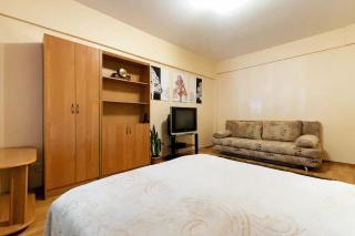 Nadezhda Apartments on Zhibek Zholy Avenue 33 - Almaty - 7