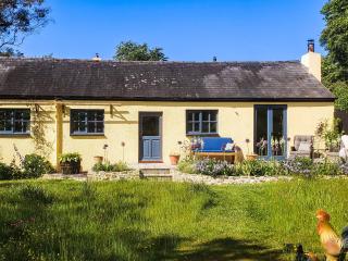 Willow Tit Cottage - Capel-Cynon - 9