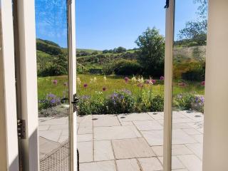 Willow Tit Cottage - Capel-Cynon - 8