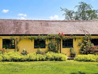 Willow Tit Cottage - Capel-Cynon - 7