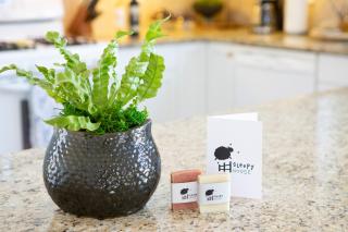 The Nest at Deep Cove - Chester - 4