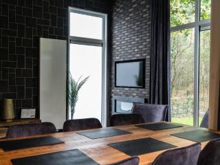 Modern holiday home near Veluwe - Hoenderloo - 3