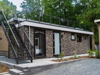 Modern holiday home near Veluwe - Hoenderloo - 5