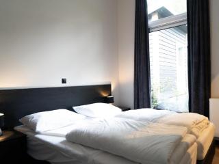 Modern holiday home near Veluwe - Hoenderloo - 1