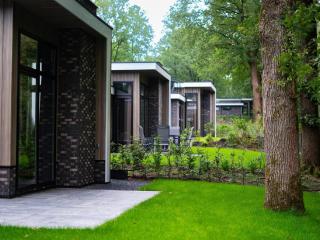 Modern holiday home near Veluwe - Hoenderloo - 7