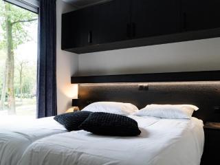 Modern holiday home near Veluwe - Hoenderloo - 6