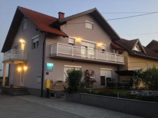 Rooms Stanic - Velika Gorica - 9