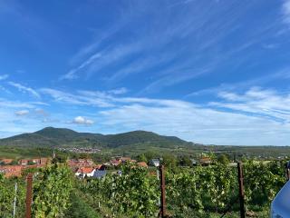 Toms Ferienhütte - Annweiler am Trifels - 5